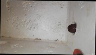 Video 1580003233: solo massage, dick solo masturbation, homemade masturbation solo, homemade amateur solo, solo anal masturbation, small dick solo, dick solo male, solo amateur young, mature solo masturbation, male experience solo, old young massage