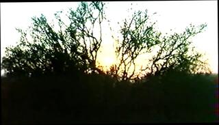 Video 365048601: vintage straight, sweet vintage, hd vintage