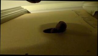 Watch the video about Glory Hole from Below