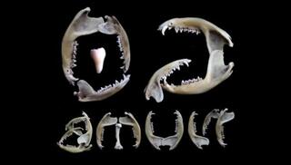 Video 1582721493: vintage retro blowjobs, fetish gay solo, fetish amateur gay, selfsuck blowjob, vintage gay male