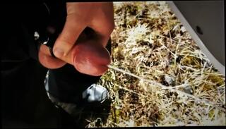 Video 894900703: uncut piss gay, solo gay uncut, uncut guys pissing, solo male piss, straight guy pissing gay, gay piss cum, solo male cumshots gay, solo amateur cum, public piss cum, pissing outside gay