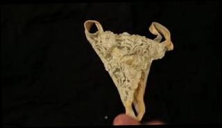 Video 136328301: gay wife, wife washing, wifes panties, man wife