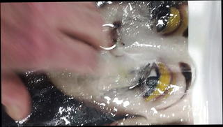 Video 1084038401: cumtribute, pierced whore, gay piercing, hd pierced, pierced man