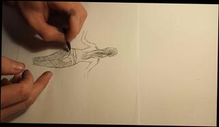 Video 1082926503: august ames, ass big tits solo, boobs teen solo, amateur solo big tits, gay ass solo, solo ripped, solo hot ass, solo male ass, young gay solo, solo pornstar, solo american, canada gay