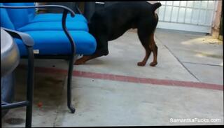 Video 335991901: samantha saint, pussy teasing masturbation, girl teasing masturbating, girl striptease masturbation, tits teasing masturbating, white girl teasing, pornstar teasing, teasing straight, girl masturbation hd, masturbation shoot