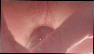 Video 1570864031: skinny gay twink boys, twink gaping gay, twink anal gaping, twink gaped ass, skinny teen twink, skinny amateur twink, twink boy gay sex, spread ass gaping hole, gaping ass hole toyed, teen anal gape hd, canadian twink