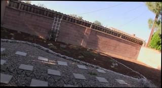 Video 70047204: whore sucking hard, babe sucking hard, teen blowjob, amateur blowjob, hard pecker, barely suck