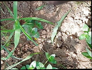 Video 1608048311: pov 3d porn, anal 3d porn, 3d gay porn, pornstar pov