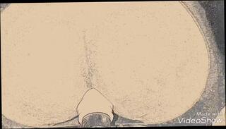 Video 756948703: sissy crossdresser solo, sissy crossdressing boy, twink sissy boy, amateur sissy crossdresser, gay sissy crossdresser, sissy crossdresser ass, chubby boy solo, twink cartoon gay, twink boy pov, chubby amateur creampie, old sissy crossdresser, young sissy crossdresser, chubby male solo, twink solo big, twink boys daddy, tight sissy ass, 18 year old sissy