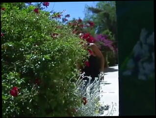 Video 1618062871: big dicks cum sluts, blowjob big dick slut, cum slut babe, cum slut ass, big dick blowjob cumshot, blowjob big dick hardcore, straight blowjob cum, big ass black slut, hot cum slut, sluts team, two black sluts, hottest sluts