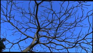 Video 151523401: katya sambuca, softcore tease, softcore masturbation, softcore blonde, teasing straight, russian porn star