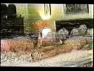 Video 1495693101: grandpa bareback, gay grandpa big cock, daddys big cock bareback, big cock blowjob bareback, grandpa daddy bear, grandpa fat cock, grandpas old cock, old young daddy grandpa