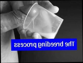 Video 1594559073: solo masturbation jerk, solo amateur jerking, babe solo jerking, solo jerk cumshot, solo female masturbation, solo sperm, nurse solo, school solo, solo british, solo college, masturbation instructions, amateur breeding