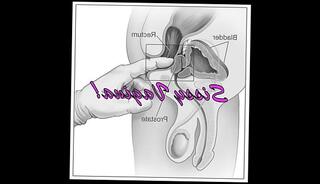 Video 693149375: shemale tranny sissy, perfect sissy