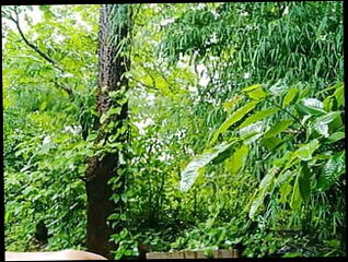 Video 1584231751: solo gay uncut cock, big cock bareback compilation, uncut bbc cum, amateur bbc compilation, solo teen bbc, first bbc bareback, chain bareback, asian bbc compilation, uncut boy cock gay, uncut gay boys sex, daddy barebacks asian boy, big dicked bareback boys, boy solo nude, nude gay love solo, bareback young gay boy, black daddy cock bareback, hot bareback gay sex, first time uncut boys, indian young boy solo, bareback boys outdoor, uncut daddy bear, desi uncut dick, public cum compilation, old uncut cock, cum compilation hd, bbc beach, boys nude bath, catches boy