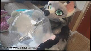 Video 1600823313: solo toy fucking, solo amateur toys, inflatable ball, furry fuck, solo female fucks, furry cosplay