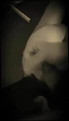 Video 335830001: gay big cock masturbate, gay blowjob masturbation, amateur big cock blowjob, gay cock lover, sucking wanking, straight wanking, wanking spunking, mask masturbation, wank shot, nice wank, mouth sucking