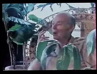 Video 91318701: vintage straight, chinese vintage