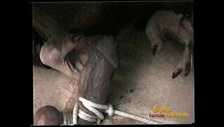 Video 465402045: hairy pussy bondage, bdsm bondage babe, bdsm hardcore bondage, femdom bondage, big hairy pussy babe, big tits hairy pussy, hairy pussy cumshot, brunette hairy pussy, masked femdom, one hairy, hung cock, cock pleasuring