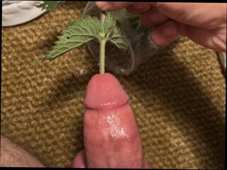 Video 1631535181: twink slave boys bdsm, bound twink slave, bdsm bondage slave, bound bdsm fetish, bdsm bondage gay boy, balls bdsm cbt, homemade bdsm bondage, bdsm hardcore bondage, amateur bdsm slave, bdsm fetish cock, bound young twink, twink gay boys cum, twinks gays boys masturbations, boy slave sounding urethral, twink big cock cum, twink boy cumshot, cbt dick, twink huge cum, twink muscle boy, slave hd, big shaved dick