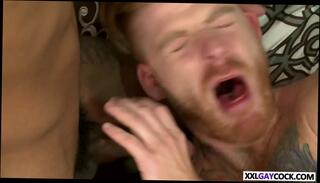 Video 331987401: cock dick gay porn, big cock blowjob handjob, blowjob handjob hd