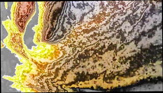 Video 753771801: sissy gay anal