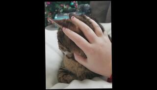 Video 1077747603: fetish pussy licking, fetish amateur teen, fetish petting, fetish masturbation, cute fetish, fetish college, amateur teen masturbating, romantic pussy licking