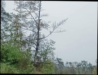 Video 1601692781: skinny solo girl, skinny shemale solo, sissy solo anal, sissy solo masturbation, skinny teen solo, horny girl solo masturbation, horny amateur solo girl, skinny teen girl fuck, sissy trans girl, skinny german teen fucked, sissy fucks cock, big cock fucking skinny, solo teen masturbation hd, solo masturbation handjob, solo girl outdoor, skinny younger, sexy horny girl fucking, sexy hot horny girl