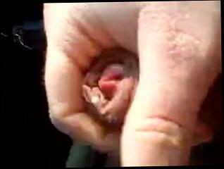 Video 44130701: cum wanking jerking, masturbation jerk wank, gay wank cum, amateur gay jerks, cumshot masturbation jerk, gay man wanking, wanking cumming outdoors, wank cum public, horny wank, public car wanking