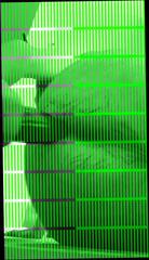 Video 336053901: gay bear dildo, cucumber dildo, dildo hd, anal
