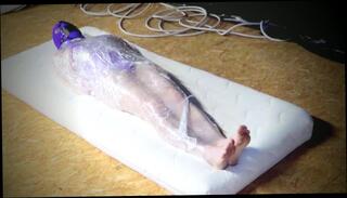 Video 1573810383: bondage ball gag, bdsm ball gag, bondage amateur bdsm, amateur crossdresser solo, self bondage gagged, amateur solo male, one ball