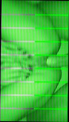 Video 335341301: cougar milf pov, milf pov creampie, milf cougar amateur, milf cougar big, old milf creampie, creampie pov hd, young milf creampie, big clit creampie, hd pov pornstar, creampie straight, serbian milf, wife cuming