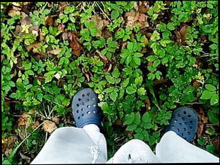 Video 1587296621: chubby gay massage, solo masturbation chubby, solo cock massage, chubby bear massage, cumshot masturbation gay solo, quick solo masturbation, chubby guy masturbating, chubby fat cock, chubby small cock, chubby gay man, young chubby gay, solo outdoor masturbation, solo masturbation hd, younger chubby