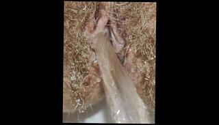 Video 1611740763: milf pissing pee, pissing peeing fetish, solo pee fetish, hairy milf pissing, hairy milf squirt, milf pov squirt, hairy amateur pussy squirts, pissing peeing girls, squirt pee cum, hairy pussy mature milf, female pov peeing, milf public pissing, furry hairy, hairy pussy dripping cum, cum inside hairy pussy, vagina peeing, camera peeing, fluffy pussy