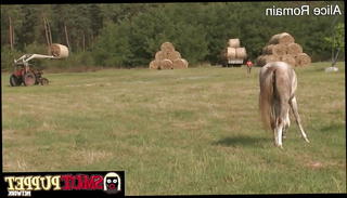 Watch the video about Smut Puppet - A Proper MILF Blowjob Compilation