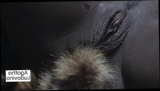 Video 1590892545: lesbian oil massage, milf oiled massage, hairy chubby milf, hairy milf dildo, milf interracial lesbian, massage lesbian pussy licking, hairy pussy ebony milf, chubby milf toys, oil massage big, chubby latin milf, chubby tattooed milf, natural hairy milf, hairy lesbian brunette, licking pussy brazilian lesbians, perfect pussy massage, exotic dildos toys, 18yo massage, hairy muscular