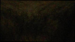 Video 1148570401: cock wash, cock touching, man gay, gay hd