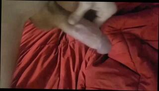 Video 1623637021: twink femboy crossdresser, twink bbc bareback, gay bareback twink boy, bareback twink gay sex, twink femboy masturbates, white twink bareback hardcore, barebacks young twink gay, twink big cock bareback, twink daddy bareback, homemade twinks bareback, femboy twink cums, femboy teen twink, amateur crossdresser bareback, twinks bareback cumshot, bear twink bareback, twink barebacked roughly, barebacks black twink, twink hot bareback, gay men bareback sex, twinks old men gay, teen femboy old man, twink sex hd, bareback younger, handjob ejaculation masturbation, load masturbation, one masturbating, first ejaculation