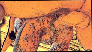 Video 1622400851: crossdresser fucked bareback creampie, creampie 3d animation, solo crossdresser ass fuck, barebacked fucking anal creampie, shemale dominates guy bareback, thai ladyboy bareback creampie, cock 3d animation, black bbw shemale solo, huge cock bareback creampie, tranny bareback creampie, 3d anime girl, big ass bareback creampie, amateur crossdresser bareback, cute 3d anime, young 3d anime, hd 3d animation, mature crossdresser bareback, bbw dominate man, asian bareback creampie, amateur couple fucking bareback, small cock shemale solo, loves bareback anal fucking, japanese girl fucked creampied, fucked beautifully creampie, fucking argentinian