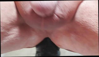 Video 1411483501: sex toy ridings amateur, gay anal sex toy, anal toys hd, one riding, riding one big