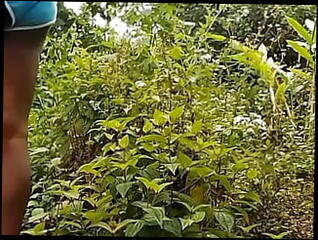 Video 1608592141: hairy twinks bareback, hairy twink solo, twink bareback ass fucking, twink bareback fucks cum, sexy twink fucked bareback, twink boys bareback fuck, solo uncut cock masturbating, twink fucked bareback gay, twink bareback fucking teen, bareback twink gay sex, gay twink underwear, asian twink bareback ass, big uncut twink cock, hairy hunk bareback, twinks bareback cumshot, twinks blowjob bareback, solo straight twink, hairy uncut guy, twink barebacking outdoors, hairy thick uncut, uncut hairy black big, indian hairy ass fuck, gay men bareback fucking, hairy ass balls, gay uncut penis, fucking bareback hd, hairy desi indian, hairy fatty, underwear rubbing, indian mastrubation