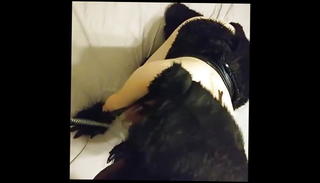 Video 1510984301: jesse jordan, hogtied bdsm, hardcore anal bdsm, bdsm sex anal, amateur bdsm anal, brutal bdsm anal, hogtied blowjob, tiny anal, straight bdsm, tiny petite small, hogtied black, tiny french, tiny european, hd bdsm