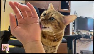 Video 1582538773: lauren phillips, hentai porn compilation, hardcore creampie compilation, amateur creampie compilation, solo masturbation compilation, indian creampie compilation, bukkake hentai, solo male compilation, babe solo pussy masturbation, creampie amateur blowjob hardcore, pussy licking compilation, handjob blowjob compilation, hentai fisting, women compilation