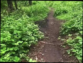 Video 1611885651: solo masturbation feet, solo male pee, dick solo masturbating cumming, solo cock masturbation cum, solo masturbation cum shot, huge cock solo cum, solo jerk cumshot, horny solo male masturbation, daddy solo jerk, solo wank cumshot, solo masturbation naked, horny homemade solo, big dick solo jerk, solo jerk gay, solo masturbation nude, pee erection, cum load solo, dads feet, solo public masturbation, solo masturbation hd, peeing boner, solo exhibition, long cum shot