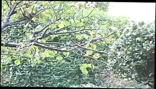 Video 49703701: porn chubby, chubby big boobs, chubby big tits, straight chubby, japanese chubby, great chubby