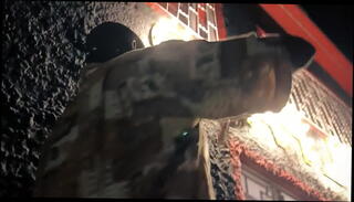 Video 930995955: shemale colombia, shemale trap, colombian shemale, skinned shemale