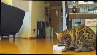 Video 1579696663: pov lesbian pussy licking, milf pussy licking lesbian, pov lesbian pussy eating, lesbian anal pov, lesbian milf cums, lesbian milf girl, milf pov cumshot, japanese milf lesbian, hentai lesbian, hentai cum inside, extreme lesbian pussy, cute hentai girl