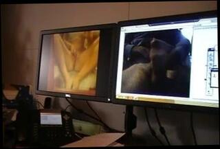 Video 148503401: sexy cum, masturbation sexy, sexy poses, man gay