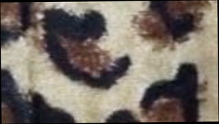 Video 1444643901: homemade amateur hairy straight, homemade hairy wife, hairy mature wife, hairy european amateur, hairy blowjob, hairy romanian