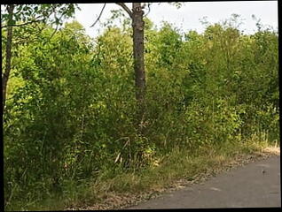 Video 1597351031: bdsm fetish slave, fetish gay solo masturbation, cage butt plug, gay humiliation slave, bdsm anal slave, underwear fetish gay, fetish hardcore bdsm, bdsm fetish plays, butt plug nipple, naked masturbation fetish, horny solo masturbation, butt plug panties, public butt plug, butt plug outdoor, hardcore german bdsm, underwear straight, anal solo hd, bike